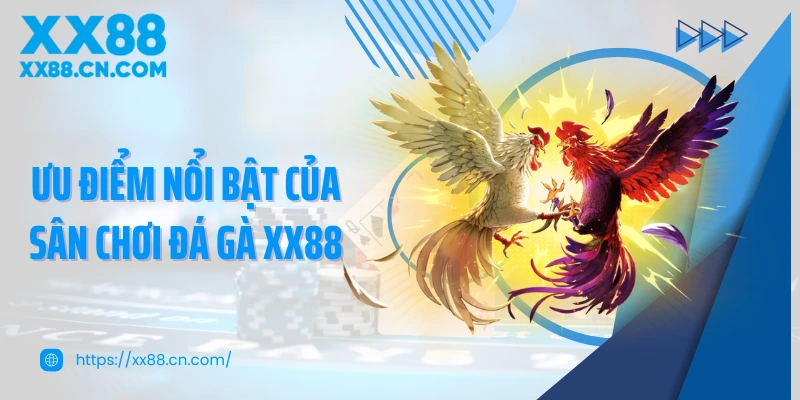Ưu điểm nổi bật của sân chơi đá gà XX88